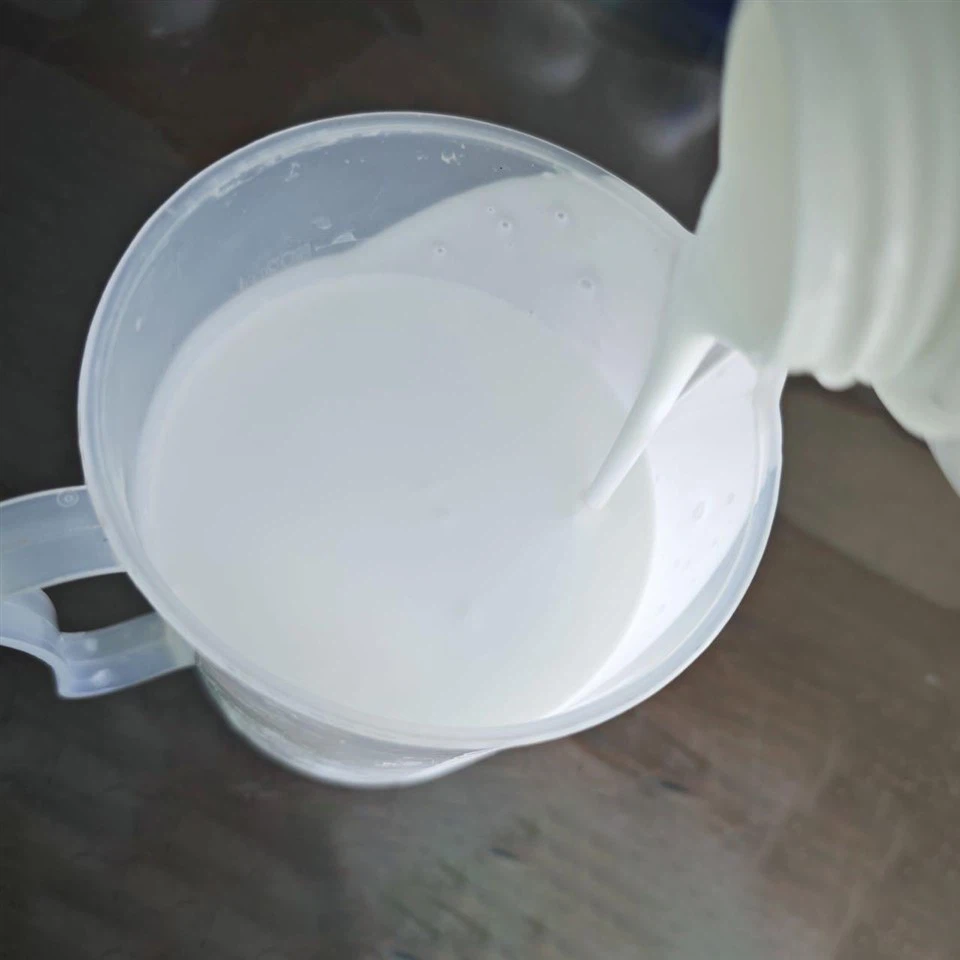 Water Based Matte Top Coat